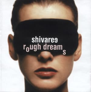 Rough Dreams