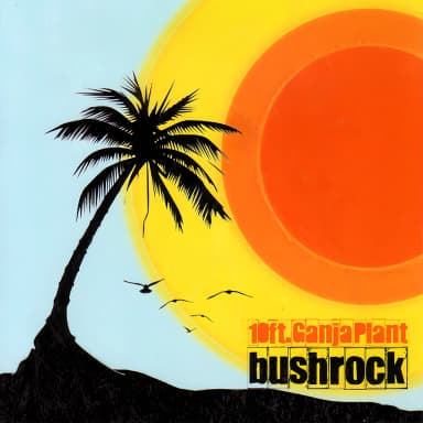 Bush Rock