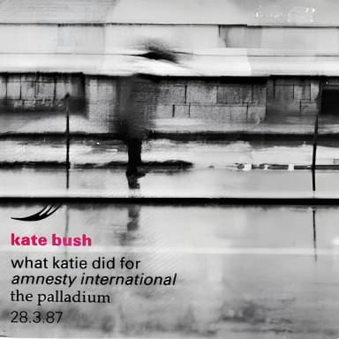 What Katie Did for Amnesty International
