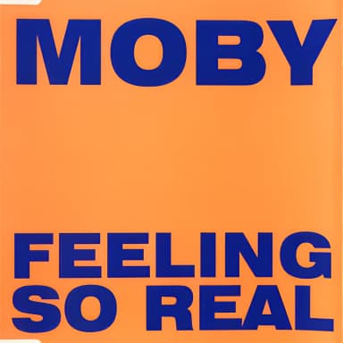 Feeling So Real [CDS]