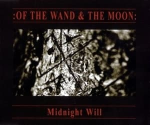 Midnight Will