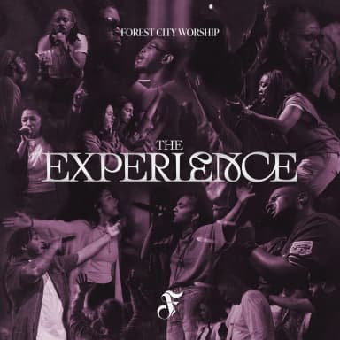 Experience