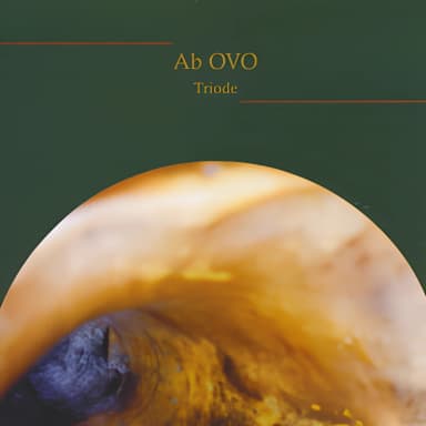 Triode