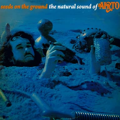 Seeds On The Ground - The Natural Sounds Of Airto