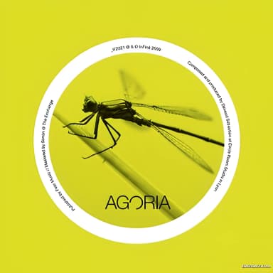 Magnolia / Libellules (IF2021)- WEB [webs]