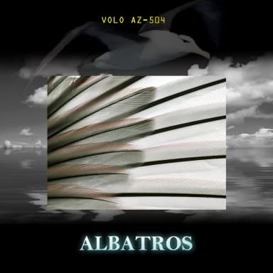Volo Az 504