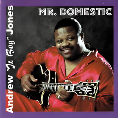 Mr. Domestic