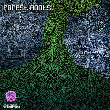 Forest Roots