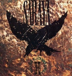 When The Blackbird Sings