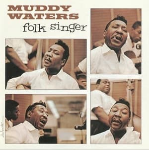 Folk Singer