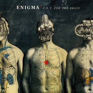 T.N.T. For The Brain [CDS]
