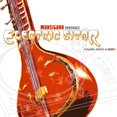 Eletric Sitar