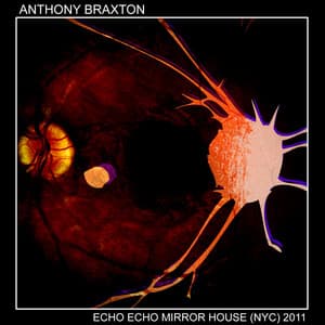 Echo Echo Mirror House (NYC)