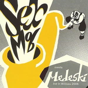 Sex Mob Meets Medeski Live In Willisau 2006