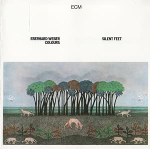 Silent Feet