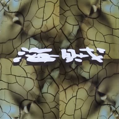 Kaizoku