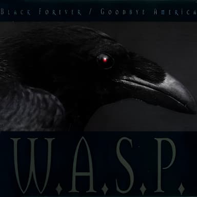 Black Forever / Goodbye America