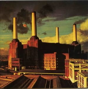 Animals