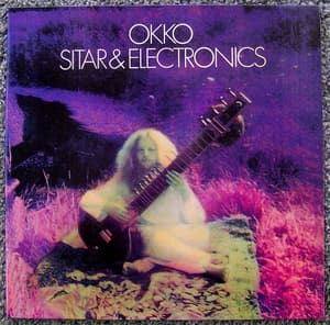 Sitar & Electronics
