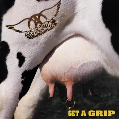 Get A Grip [japan Mvcg-108]