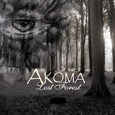 Lost Forest
