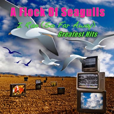 A Flock Of Seagulls