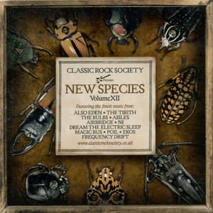 New Species - Volume Xii