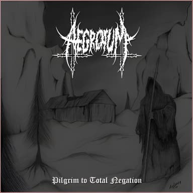 Pilgrim To Total Negation