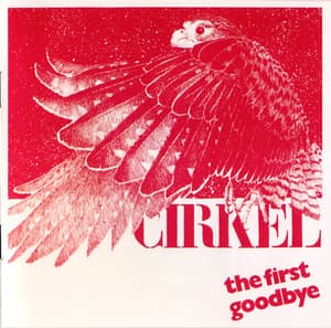The First Goodbye