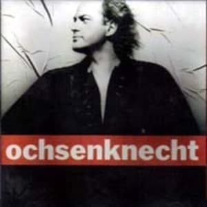 Ochsenknecht