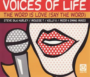 The Word Is Love (say The Word)