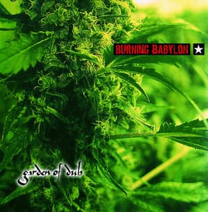 Burning Babylon