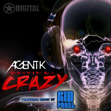Driving Me Crazy (CDS)
