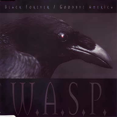 Black Forever / Goodbye America (CDS) (CD1)