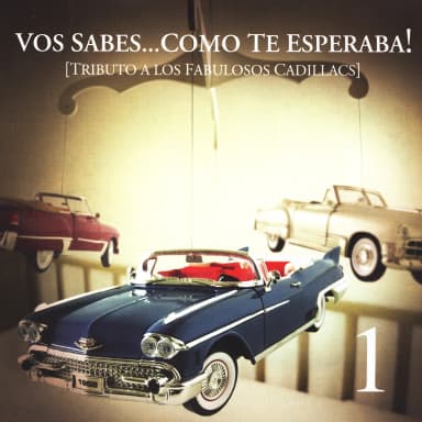 Tributo A Los Fabulosos Cadillacs: Vos Sabes Como Te Esperaba!