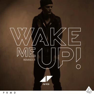 Wake Me Up Ep