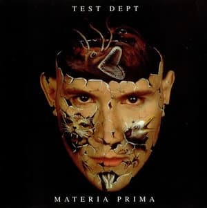 Materia Prima