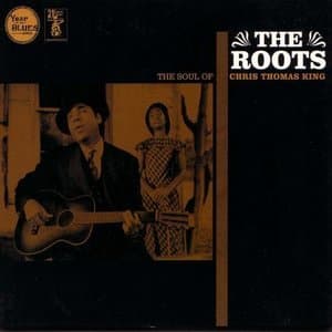 The Roots The Soul Of Chris Thomas King