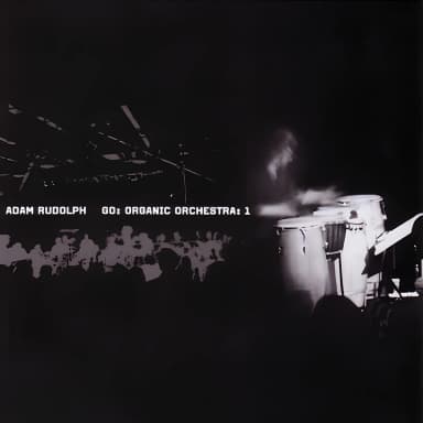 Go: Organic Orchestra: 1