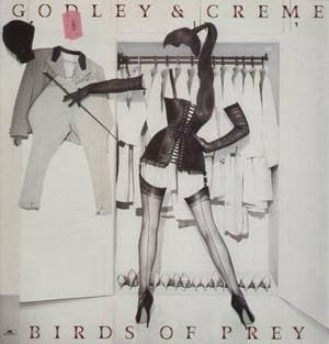 Birds Of Prey... Plus
