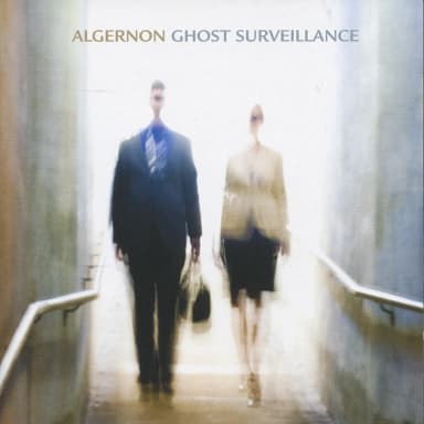 Ghost Surveillance