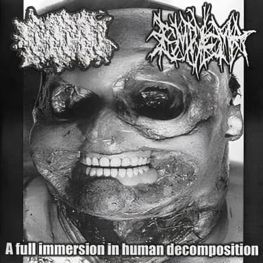 A Full Immersion In Human Decomposition