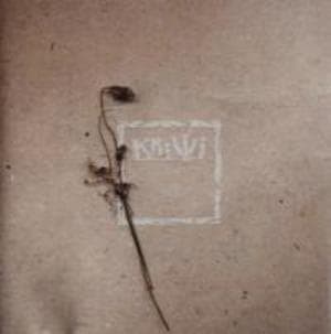 2000