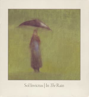 In The Rain
