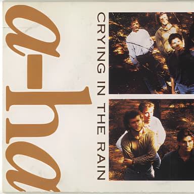 Crying In The Rain [CDS]