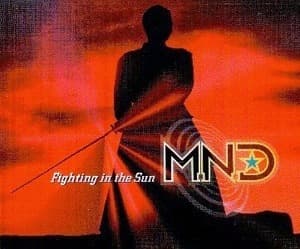 Fighting In The Sun