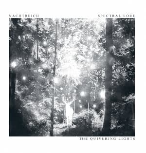 The Quivering Lights - Split