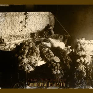 Immortal In Death