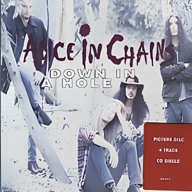 Down In A Hole (Limited Edition, 2CD)