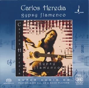 Gypsy Flamenco